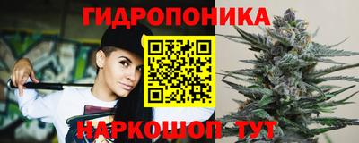 шишки Малгобек