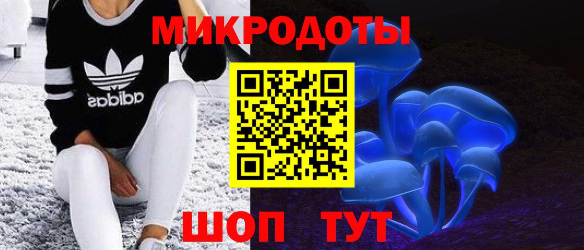 Галлюциногенные грибы мухоморы Дальнегорск