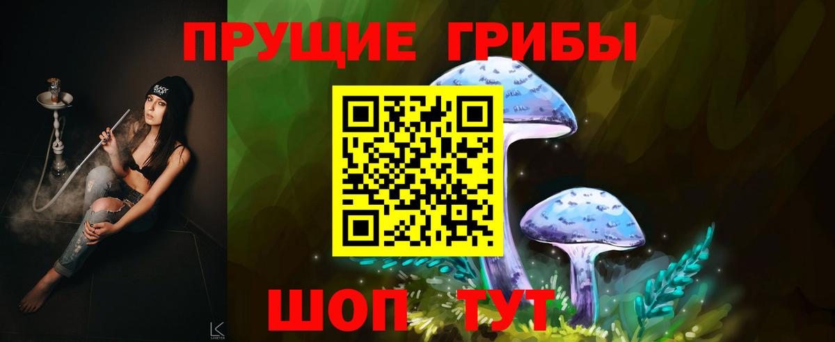 Дальнегорск  Псилоцибиновые грибы ЛСД  Вход с VPN 