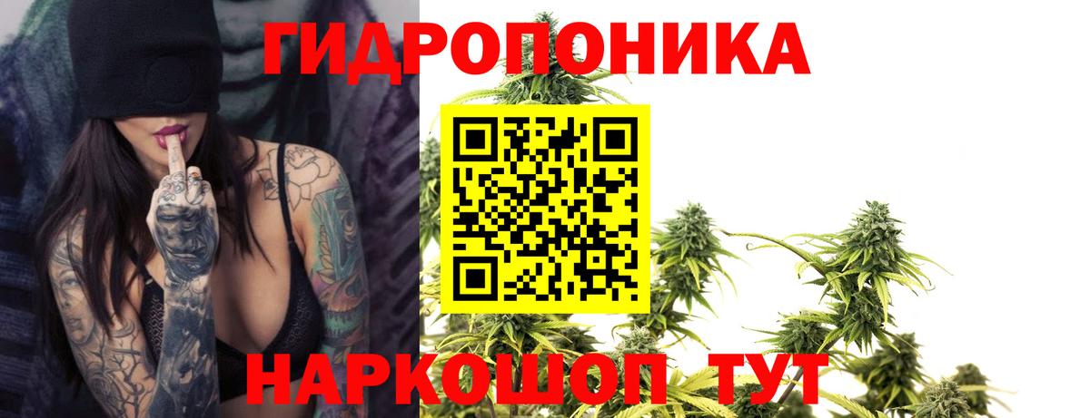 Бошки Шишки VHQ  Марихуана марихуана  Дальнегорск  Вход с VPN 